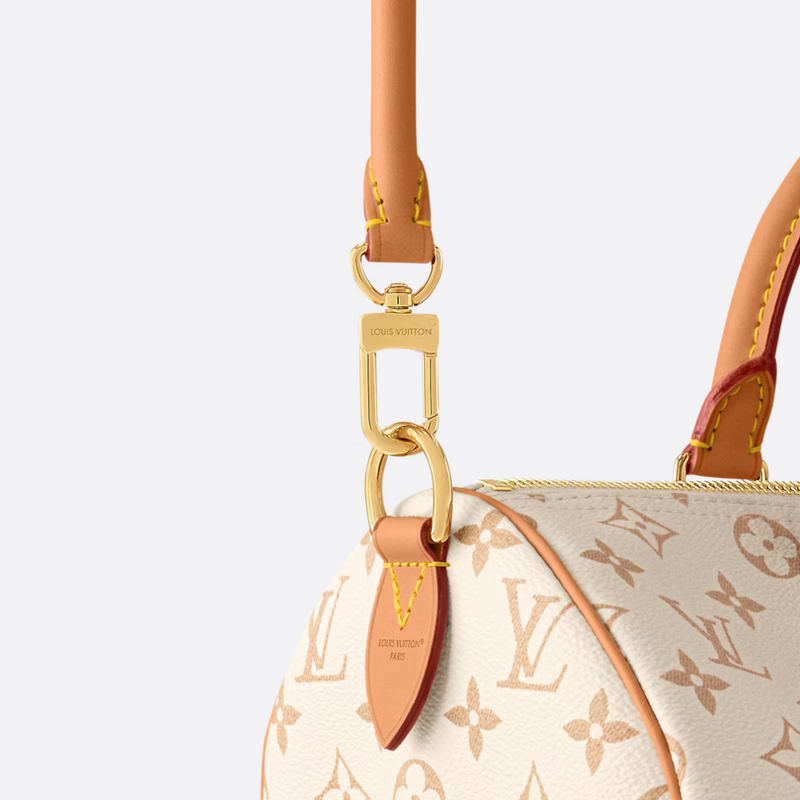 LOUIS VUITTON – SPEEDY SOFT 30 LUCKY BAG