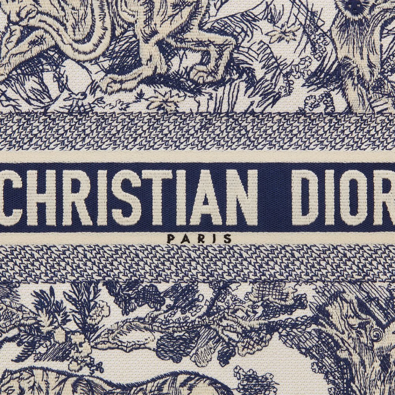 LARGE DIOR BOOK TOTE BAG